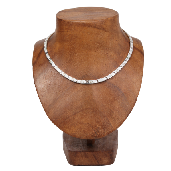 Shiva Eye's Shell Necklace with Sterling Silver